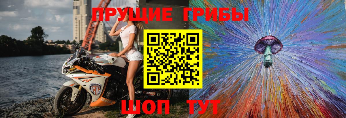 Псилоцибиновые грибы Psilocybe Кимовск