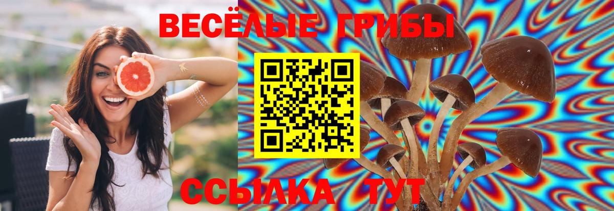Галлюциногенные грибы GOLDEN TEACHER  Вход с VPN  Кимовск 