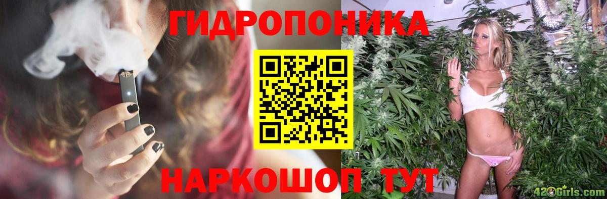 Каннабис Bruce Banner  МАРИХУАНА ГИДРОПОН  Бошки Шишки семена  Кимовск  Вход с VPN 