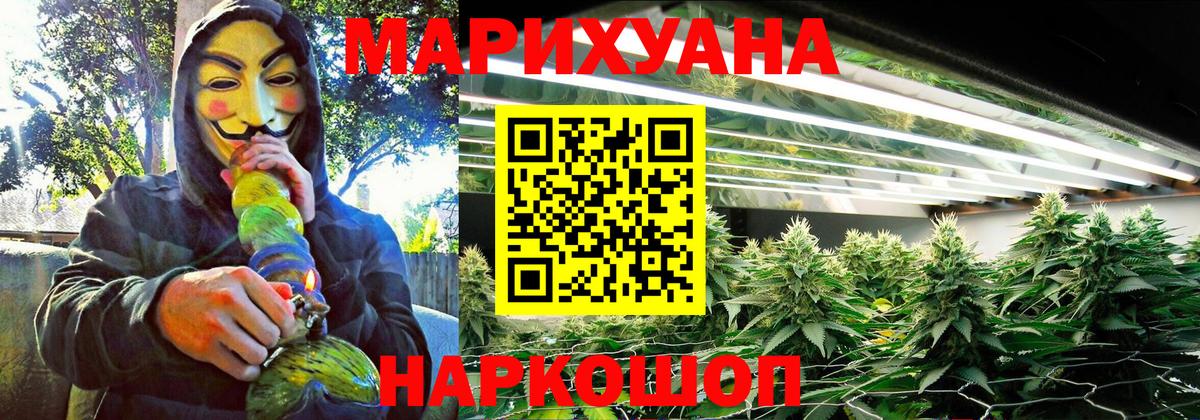 Бошки Шишки сатива Кимовск
